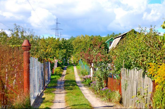 strumivka